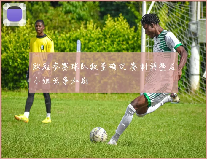 欧冠参赛球队数量确定 赛制调整后小组竞争加剧