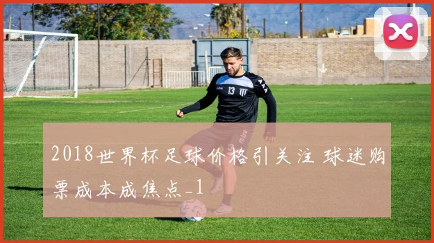 2018世界杯足球价格引关注 球迷购票成本成焦点_1