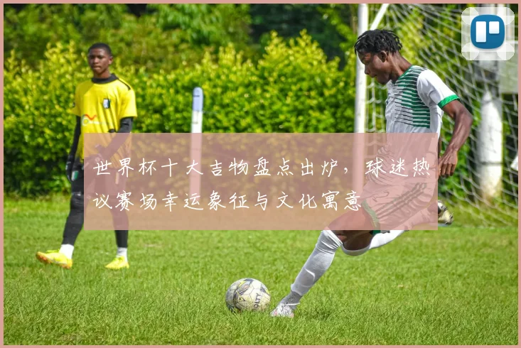 世界杯十大吉物盘点出炉，球迷热议赛场幸运象征与文化寓意